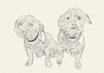Kiki and Jasmine